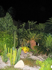 Cairns11 Changi Airport